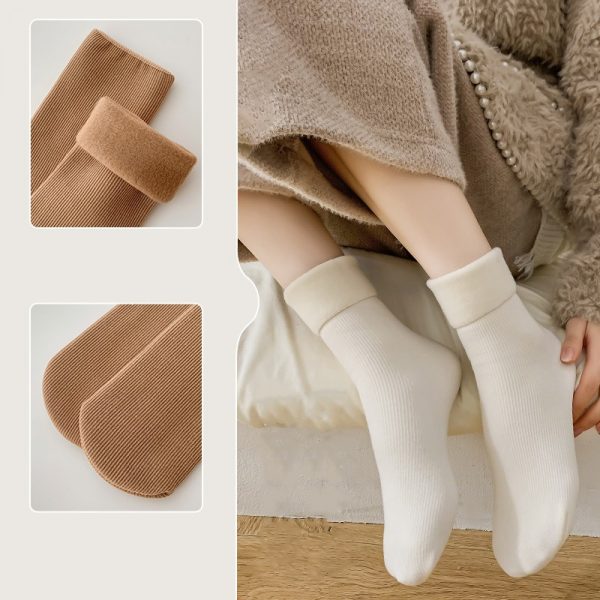 Winter Velvet (Pack of 5)