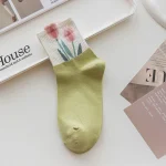 Premium Tulip (Pack of 5)