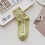 Premium Tulip (Pack of 5)