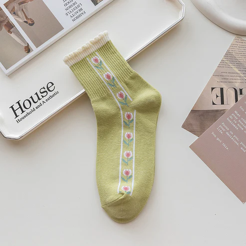 Premium Tulip (Pack of 5)