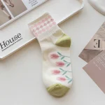 Premium Tulip (Pack of 5)