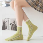 Premium Tulip (Pack of 5)