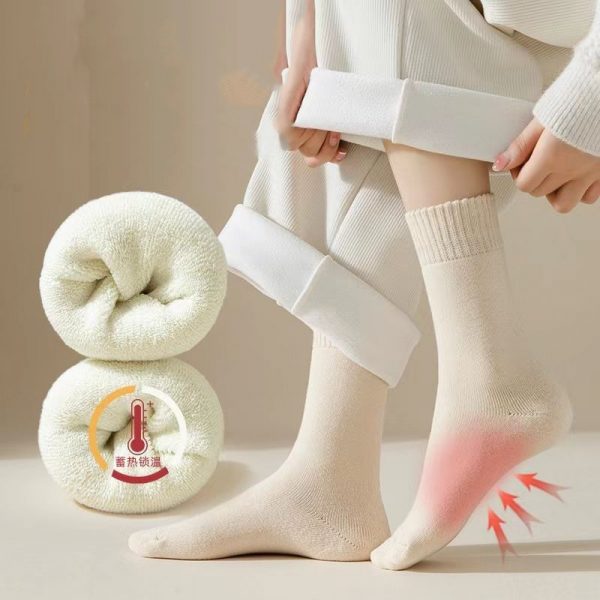 Winter Bliss (Pack of 5)