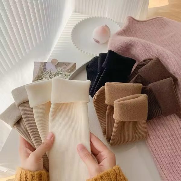 Winter Velvet (Pack of 5)